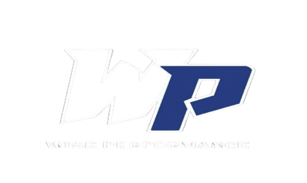 Wise Performance